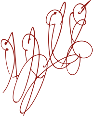 Душа-Птица творба од Шри Чинмој